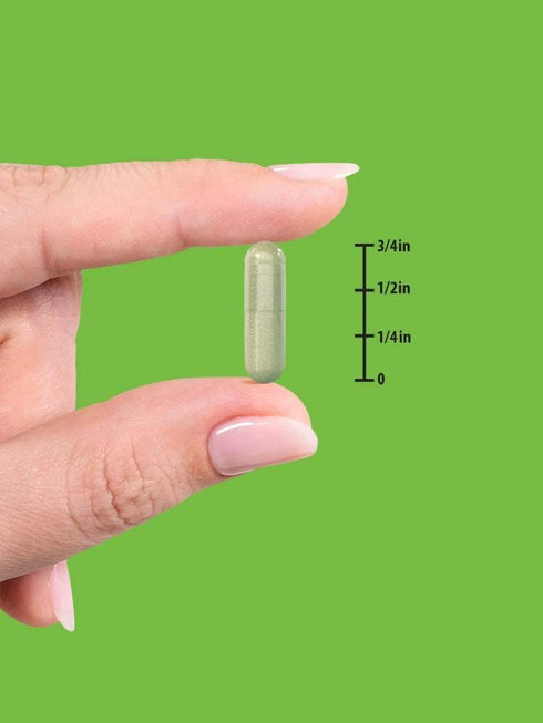 Echinacea Extract Capsules | 1300mg | 100 Count | Non-GMO & Gluten Free by Nature's Truth