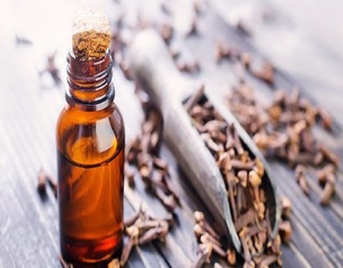 Palo Santo Essential Oil, Premium Grade A, Undiluted, 10 ml / 0.33oz