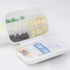 QJ CMJ 7 1 Small Weekly Pill Case - Bright Watercolor Cactus Travel Pill Organizer Box for Travel Safe Plastic Material
