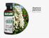 NutraMedix Quercetin 500mg Capsules - Antioxidant & Immune Support for Heart Health, Aids in Zinc & Vitamin C