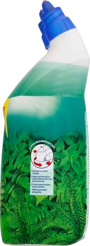 Lysol Toilet Bowl Cleaner Gel ¦ Cleaning and Disinfecting, Stain Removal, Forest Rain Scent, 24oz (Pack of 2)