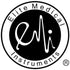 EMI Fully Automatic Digital Blood Pressure Monitor with Adult Sized Cuff, Large LCD and Memory Functions