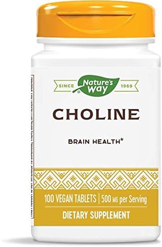 Nature's Way Choline 500 mg, 100 Tablets, Pack of 2 for Health Supplement