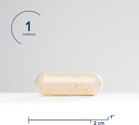 Seeking Health Multivitamin One MF - 45 Veggie Capsules for MTHFR Support with Folinic Acid & Vitamin B12