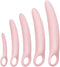 Lyniya 5-Pack Silicone Pelvic Floor Muscle Dilator Trainer Set for Women Large Set