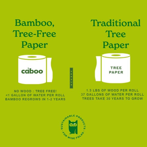 Caboo Tree Free Paper Towels, 6 Rolls, Eco Friendly, Sustainable Kitchen Paper Towels with Strong 2 Ply Sheets
