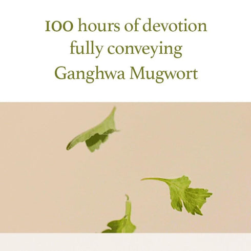 I'm from Mugwort Gel Cleanser, 150ml | Calming and Soothing Low pH Korean Face Wash for Sensitive Skin