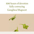 I'm from Mugwort Gel Cleanser, 150ml | Calming and Soothing Low pH Korean Face Wash for Sensitive Skin