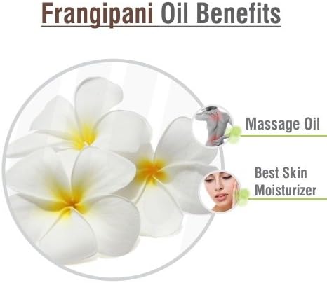 Crysalis Frangipani Oil 0.51 Fl Oz (15ml)