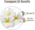 Crysalis Frangipani Oil 0.51 Fl Oz (15ml)
