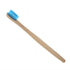 Toothbrush Soft Nylon, 6 Colors Recyclable for Oral Care (Blue)
