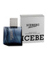ICEBERG Homme EDT Spray Cologne For Men - 3.3 Oz - Aromatic Fougere Fragrance with Fresh Citrus Notes