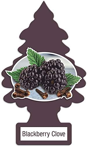 LITTLE TREES Car Air Freshener | Blackberry Clove Hanging Paper Tree for Home or Car | Pack of 24