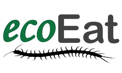 ecoEat Cricket Flour Powder Protein - 100g - Healthy Powder Edible Insect Powder