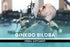 Ginkgo Biloba by PURE ORIGINAL INGREDIENTS (365 Capsules) - No Fillers, Always Pure, Lab Verified
