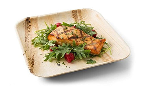 Perfectware Palm Plate 10-25, 10" Palm Leaf Disposable Plates, Pack of 25