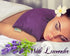 KOYA Naturals Soft Velvet Flax Seed Pillow with Lavender - Microwavable Heating Pad for Neck, Muscle, Joint Pain