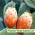 Pure Salvia Prickly Pear Seed Essential Oil - Organic, Undiluted, Therapeutic Grade - 50 ML with Dropper
