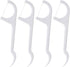 100 Pcs Disposable Dental Floss Sticks, Teeth Cleaner Oral Care with Portable Plastic Case