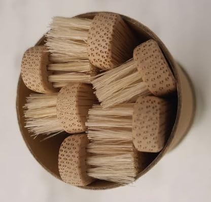 Gaia Guy Natural Bristle Bamboo Toothbrush 6-Pack, Compostable & Biodegradable Boar Bristle and Bamboo