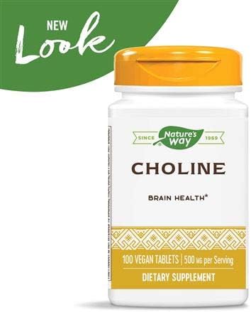 Nature's Way Choline 500 mg, 100 Tablets, Pack of 2 for Health Supplement