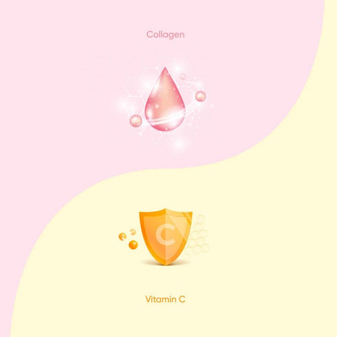 EVERYDAZE Essential C’s Collagen + Vitamin C Konjac Jelly, 10 Packs - Vegan, 10 Calories, 0 Sugar, Mango Flavor,