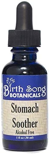 Upset 1oz Birth Song Botanicals Stomach Soother Tincture Herbal Digestion Support Supplement for Stomach & Motion