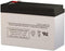 Sunnyway SW12100 12 Volt 10.5 AmpH SLA Replacement Battery with F2 Terminal