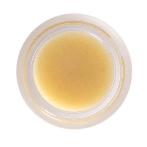 Living Libations Organic Underarm Charm Cream Deodorant | Natural, Wildcrafted Clean Beauty (Rose Glow, 2 oz)