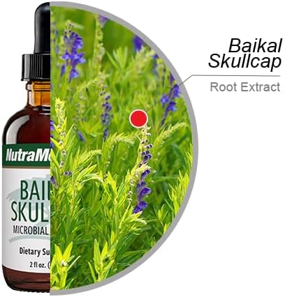 NutraMedix Baikal Skullcap Tincture, Daily Supplement for Heart Health & Immune Support, 2 oz