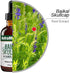 NutraMedix Baikal Skullcap Tincture, Daily Supplement for Heart Health & Immune Support, 2 oz