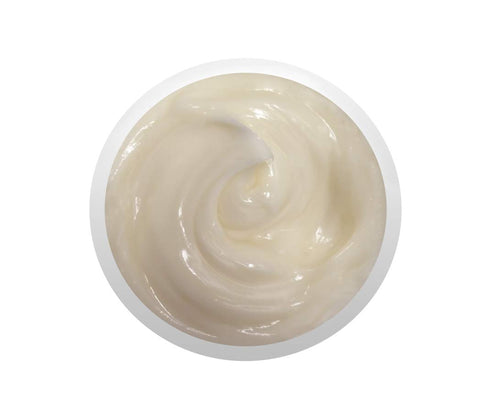 Raya SPA Bio-Effective Night Cream | Anti-Aging Facial Moisturizer for Deep Recovery & Wrinkle Repair