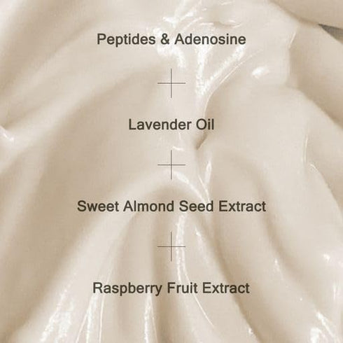 MIZON Peptide Ampoule Cream with Adenosine, Lavender Oil, 1.69 fl oz, Korean Skincare