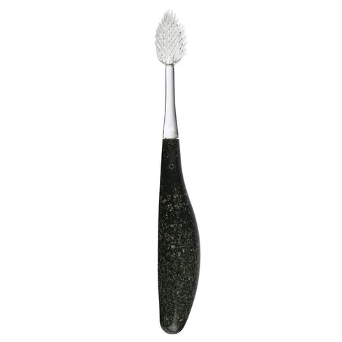 RADIUS Toothbrush Source Floss Brush BPA Free & ADA Accepted Improve Gum