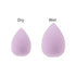 6PCS Mini Makeup Sponge Set, Small Beauty Blender for Foundation, Powder, Concealer, Highlight, Purple