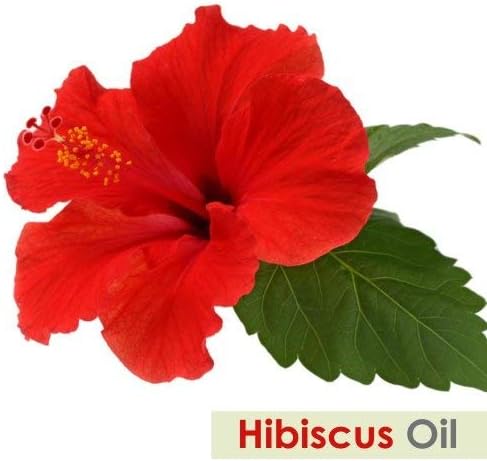 Hibiscus Oil (Hibiscus Sabdariffa L) - Therapeutic Essential Oil by Salvia Amber Bottle 100% Natural Uncut Pure Oil