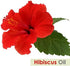 Hibiscus Oil (Hibiscus Sabdariffa L) - Therapeutic Essential Oil by Salvia Amber Bottle 100% Natural Uncut Pure Oil