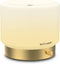 Glass Diffuser with Luxury Alloy Base(Gold), All-in-one Room Decor Aromatherapy Oil Diffusers