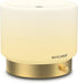 Glass Diffuser with Luxury Alloy Base(Gold), All-in-one Room Decor Aromatherapy Oil Diffusers