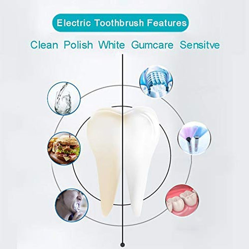 RED-NI Sonic Electric Toothbrush, USB Fast Charging Waterproof Toothbrush, 4 Free Replacement Heads, Model ET201, Blue