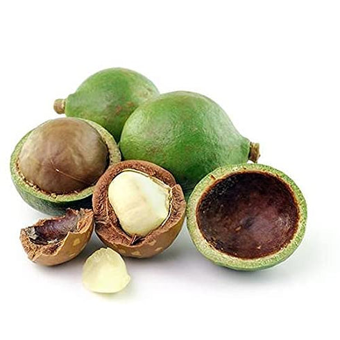 Tamanu Oil - 4 oz Glass with Dropper - 100% Pure Unrefined Cold Pressed Vegan Carrier Oil for Skin, Hair, Body