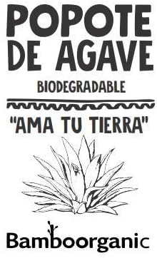 50 Pack Agave Fiber Straws, Eco-Friendly Alternative to Plastic & Paper Straws, Plant Based