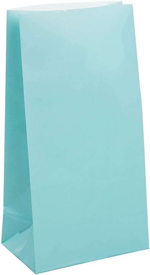 Paper Bags, Baby Blue, 12 Count (Pack of 1)