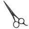 Professional Mustache & Beard Scissors - Small Sharp Stainless Steel Shears for Men, Precision Trimming (5.5 Inch,