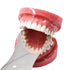 Dental Photography Mirrors, Stainless Steel Single Sided Orthodontic Mirror, Bendable Intra-Oral Reflector