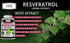 Kaya Naturals Resveratrol Capsules, Anti Aging Supplement with Antioxidants and Brain Support, 60 Veggies Capsules