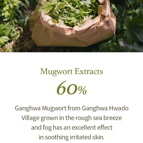 I'm from Mugwort Gel Cleanser, 150ml | Calming and Soothing Low pH Korean Face Wash for Sensitive Skin