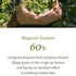 I'm from Mugwort Gel Cleanser, 150ml | Calming and Soothing Low pH Korean Face Wash for Sensitive Skin