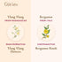 Gya Labs Ylang Ylang Essential Oil & Bergamot Essential Oil - 10ml - 2-in-1 Pack