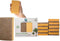 THE GREATER PLANET Natural Kitchen Sponges - Eco-Friendly Biodegradable Organic Cleaning Sponges, 10 Pack